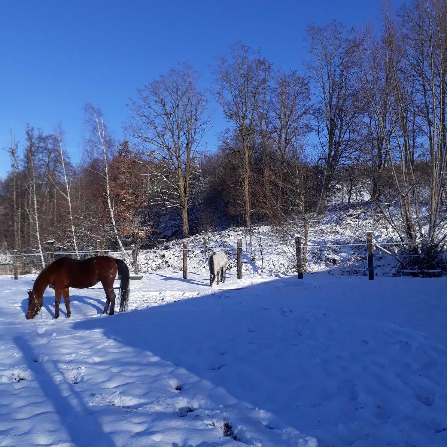 Le Gite Du Cheval Blanc Fraize Esterno foto